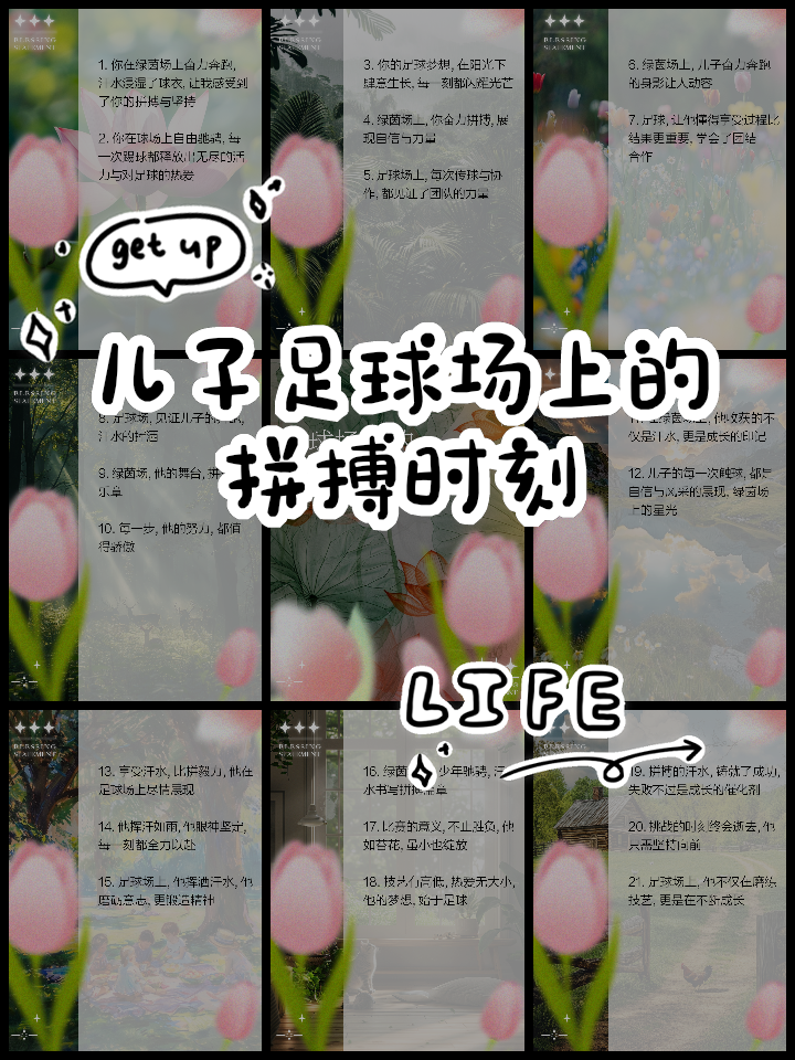 包含神奇一刻：足球场上的惊喜瞬间的词条