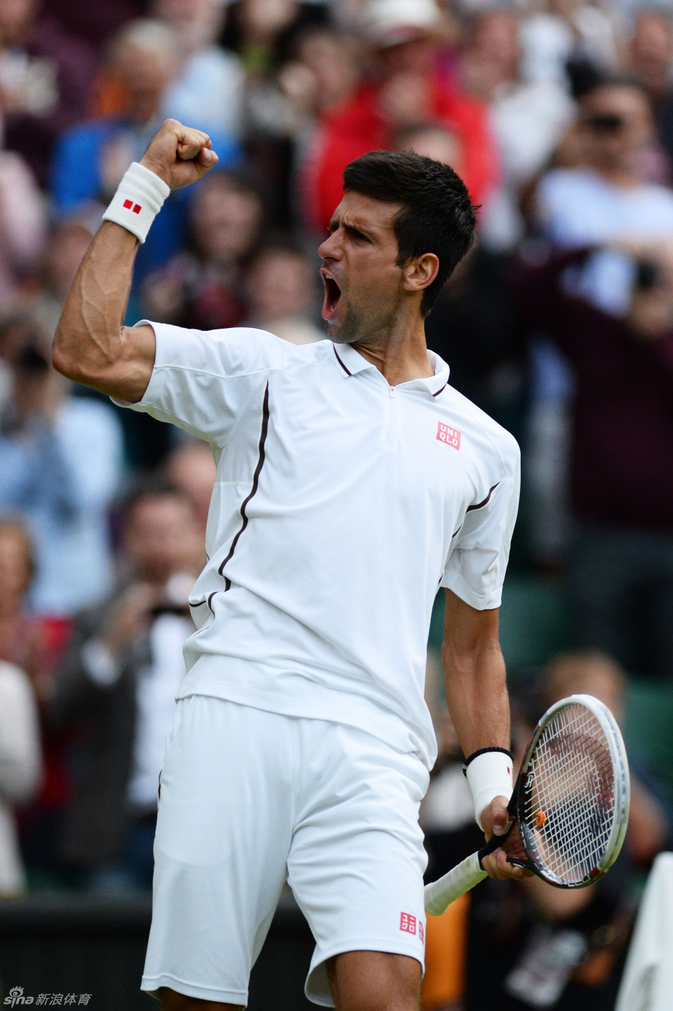 拉沃尔杯完胜温网，鲁德状态火热