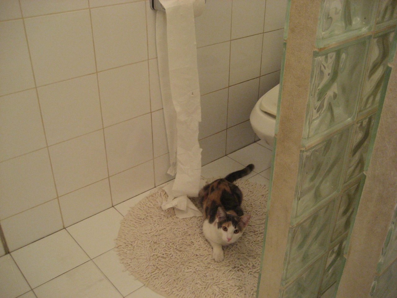 绿茵与篮球的破壁之夜，小贾伦·杰克逊如何照亮欧冠决赛