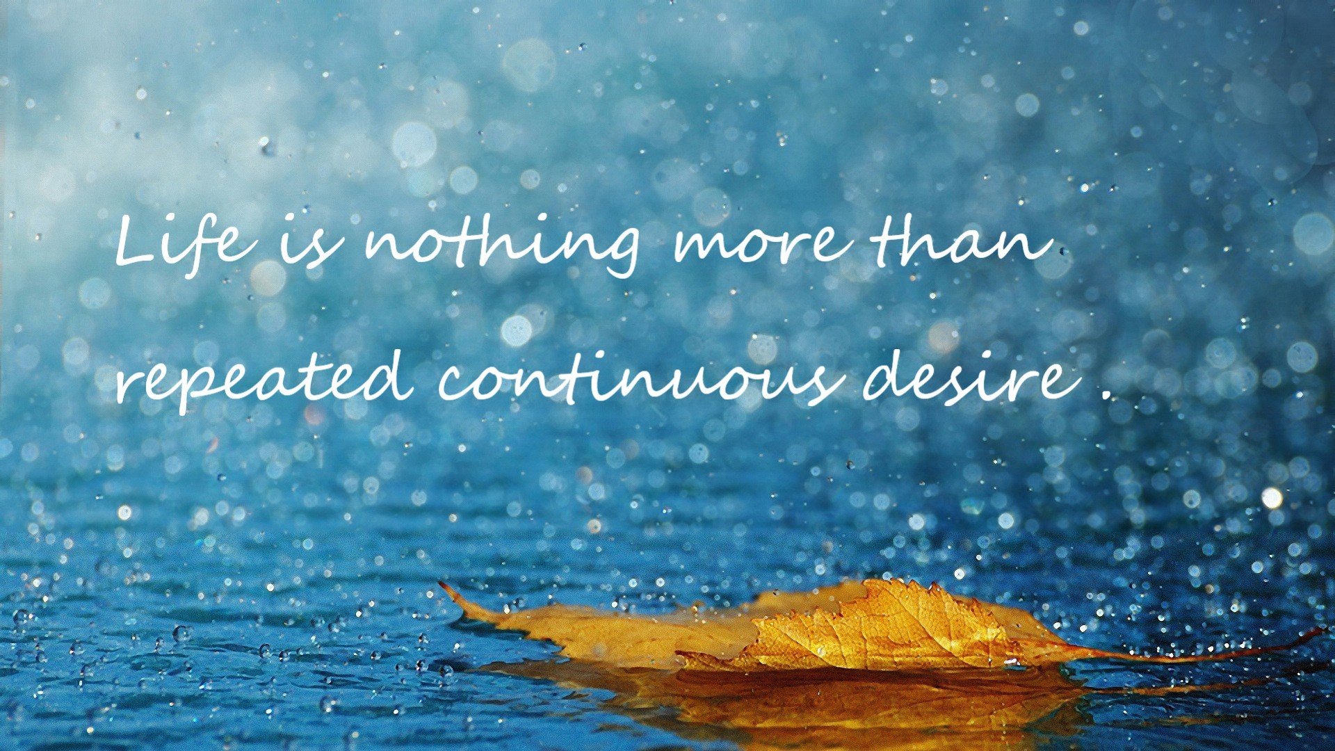 守护荣誉之夜！利拉德高能开火，捍卫排名荣光