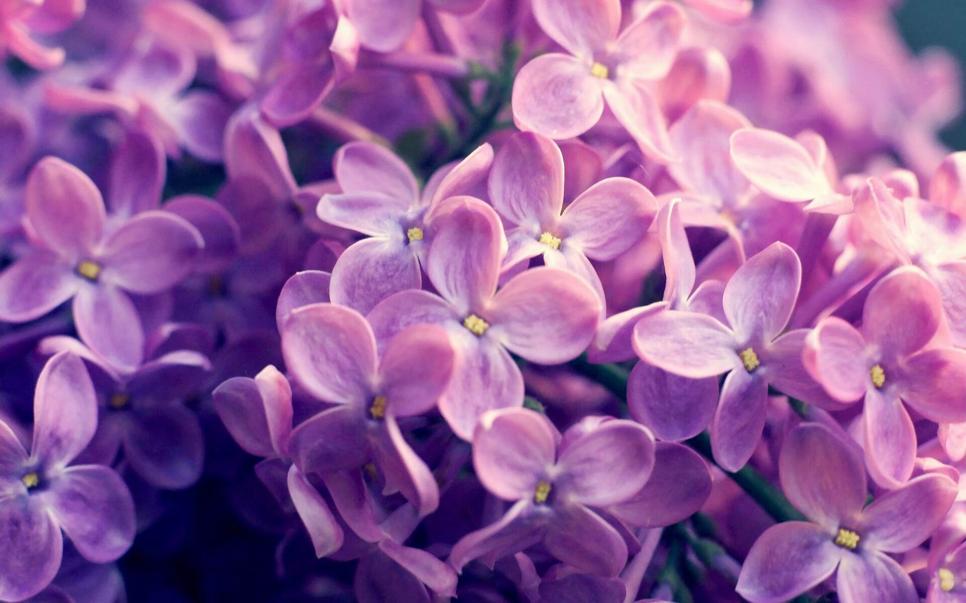 美加墨世界杯之夜，当冰川突进，金玟哉在沉默中重塑韩国足球的脊梁