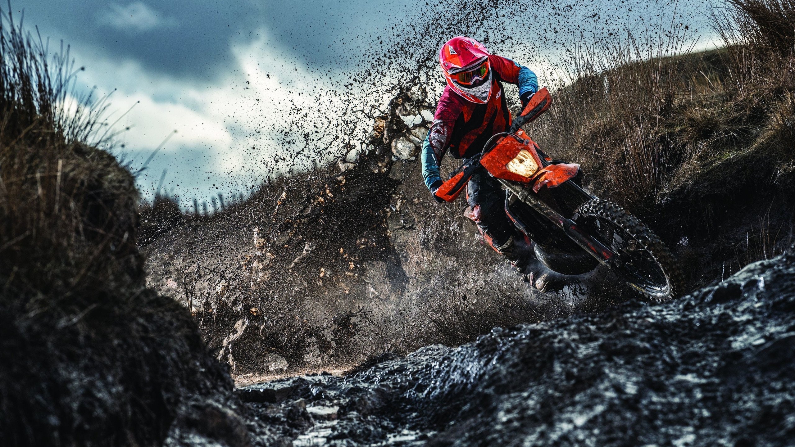 风暴眼对决,多特蒙德碾过郁金香,德荷足球暗战再燃烽火