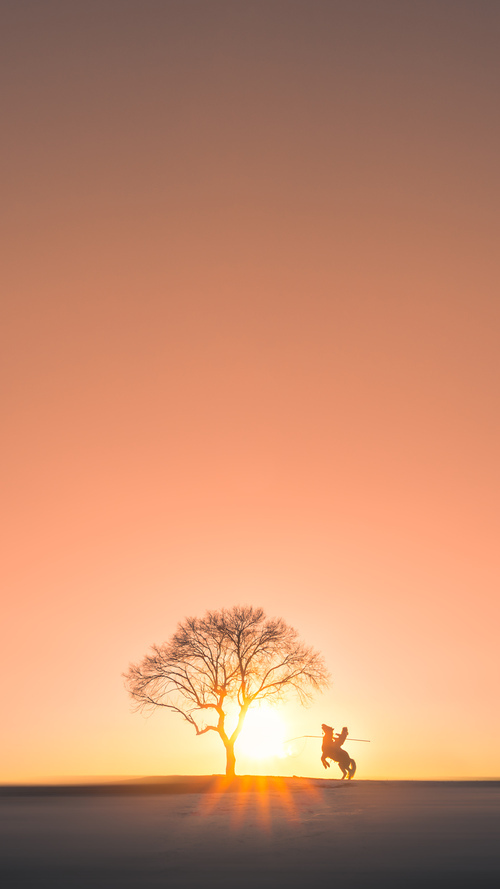 独步攻防转换,字母哥的狂暴方程式