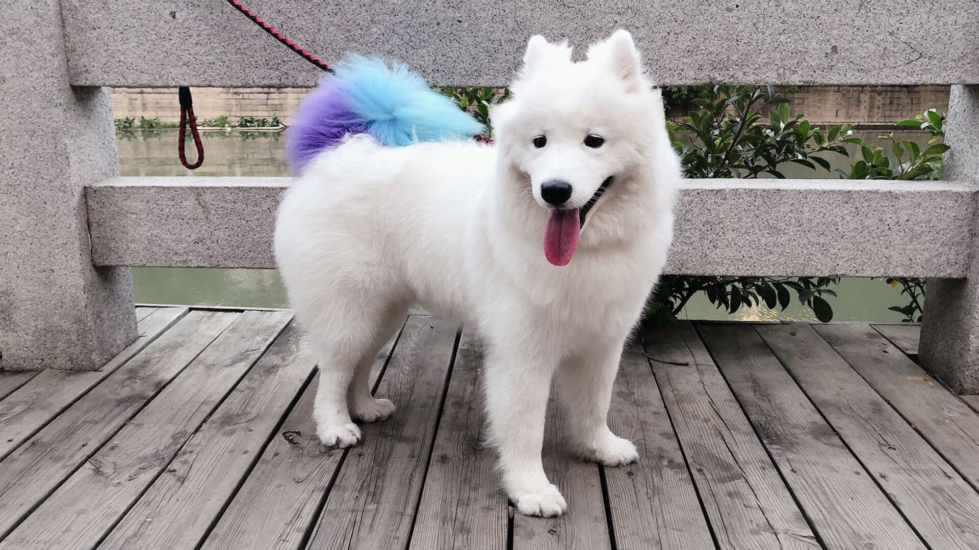 锋芒,意甲焦点战之夜,布伦森用足球写就的统治宣言