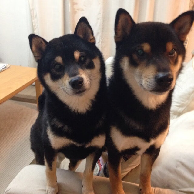 比赛日的两重奏,失控与掌控