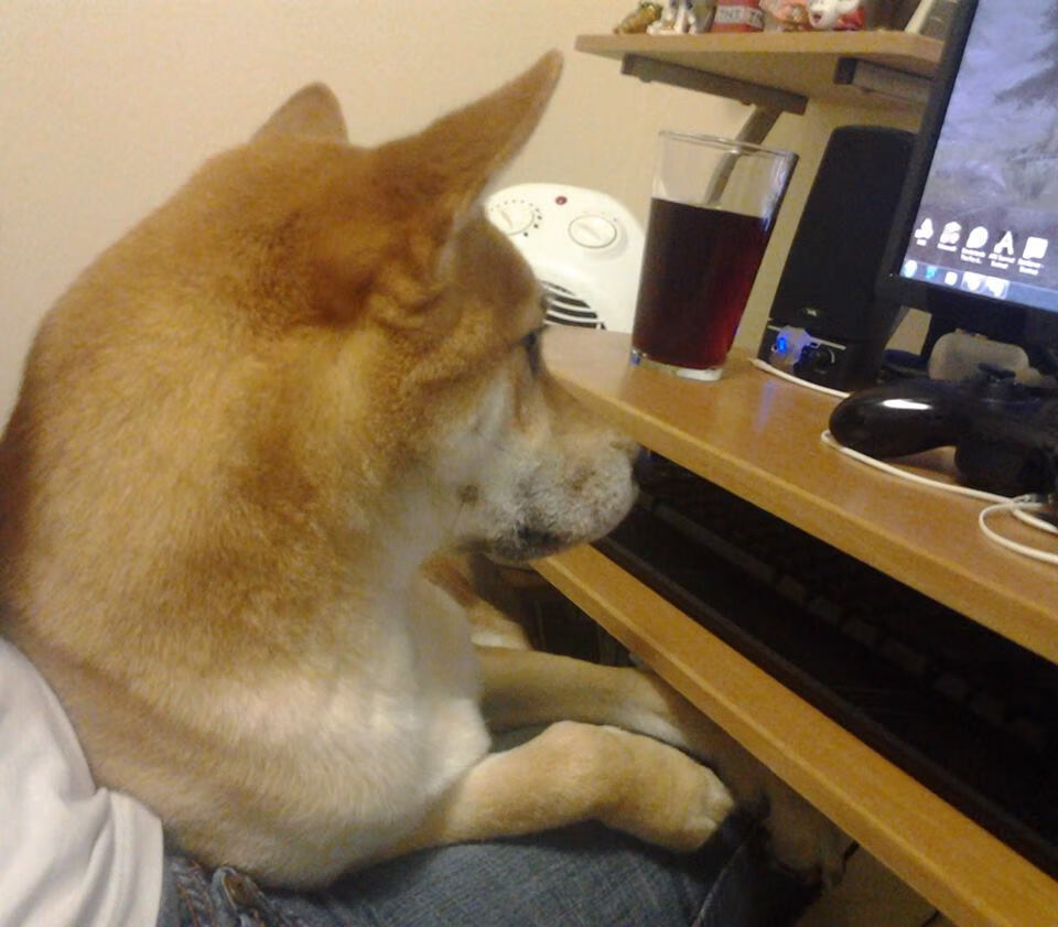 克瓦拉茨赫利亚,赛场上的烈焰舞者