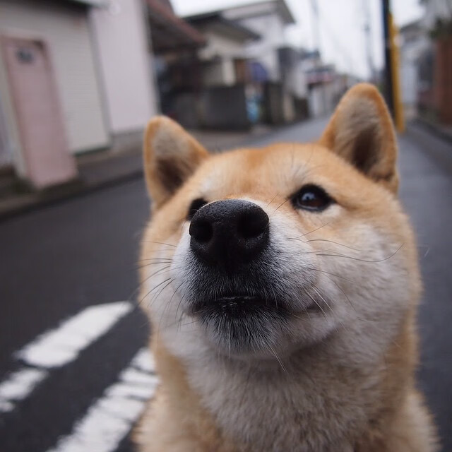 铁血防守铸就胜利，小贾伦末节统治攻防成关键先生