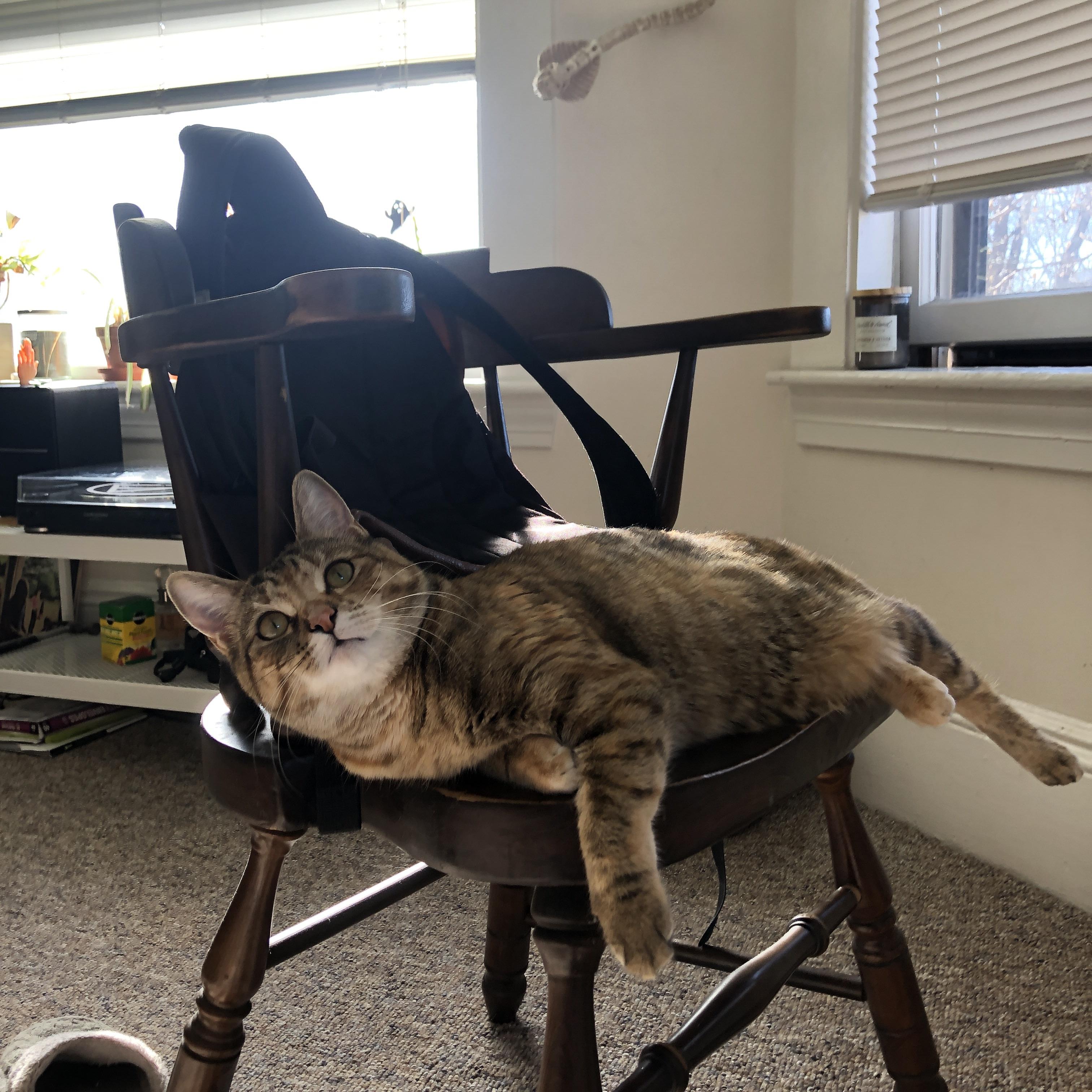 东决关键战，辽宁队加时力克广东队，挺进总决赛