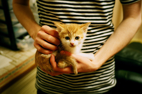 淬火成钢，奥运关键战浙江队血拼勇士的启示