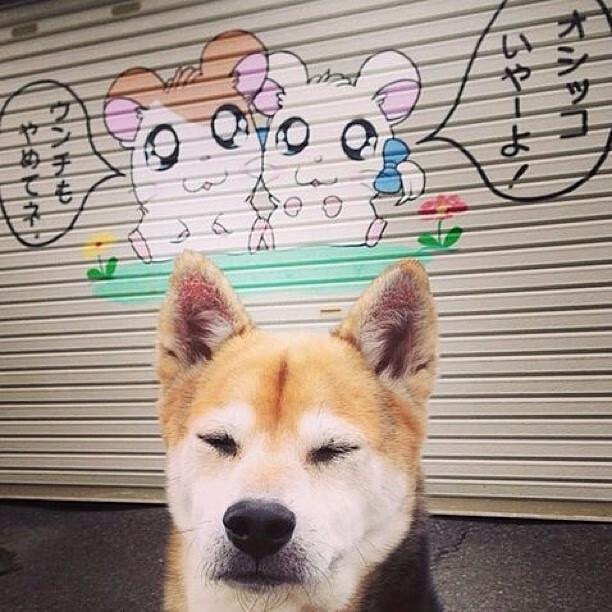 克莱·汤普森闪耀年度焦点之战，进攻端无人可挡