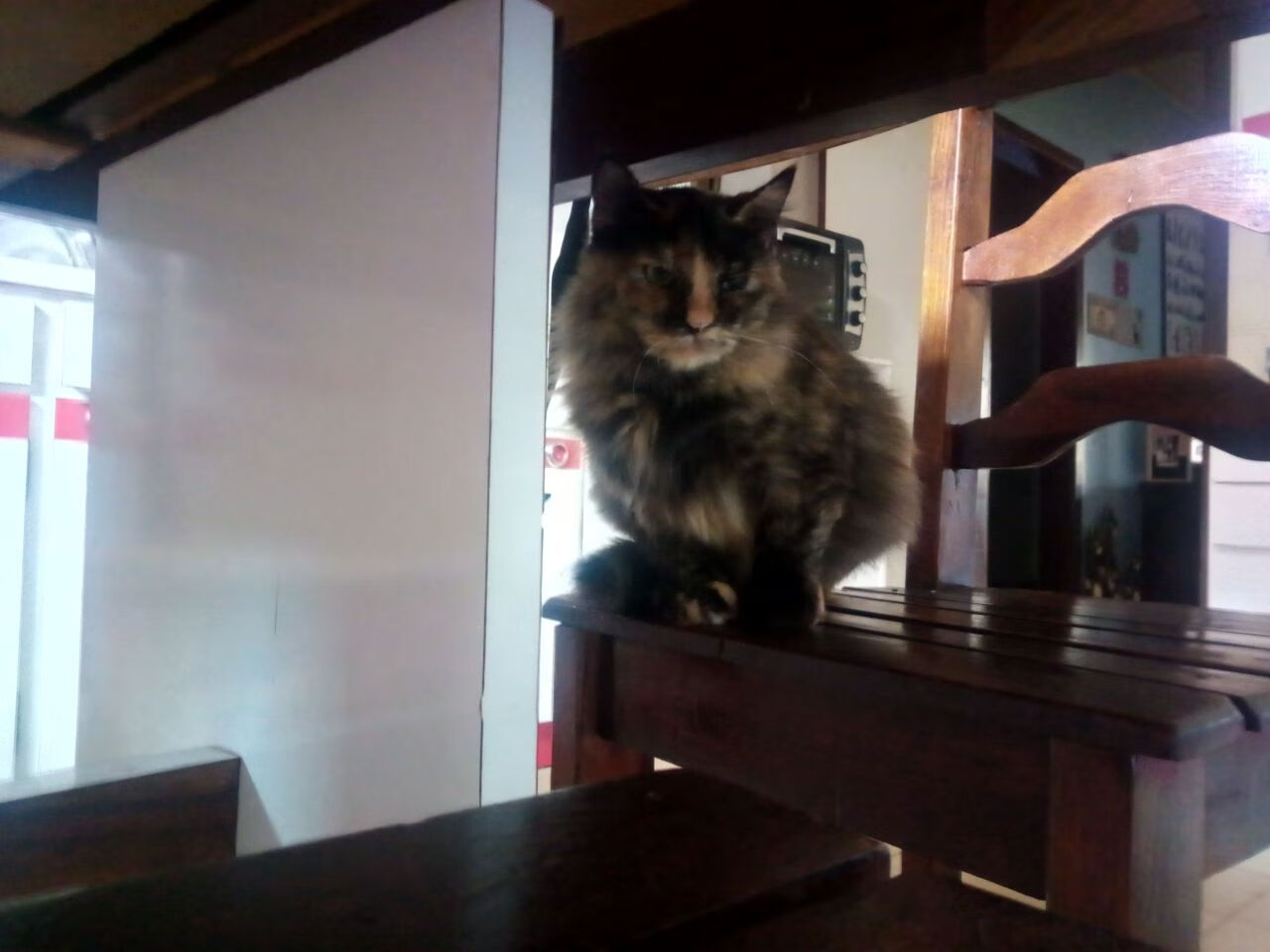 足球的两种维度,从安第斯山脉的战术对决到德甲争冠夜的个体光芒