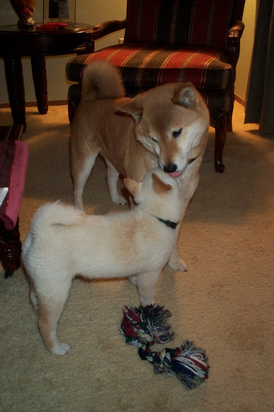 强压之下的璀璨新星，阿圭罗满分诠释何谓价值