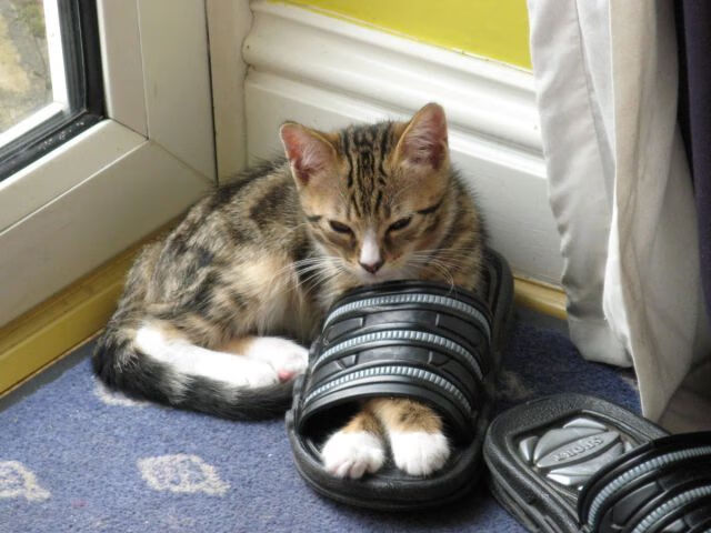 开拓者对阵奇才，哈登在重压之下绽放光芒